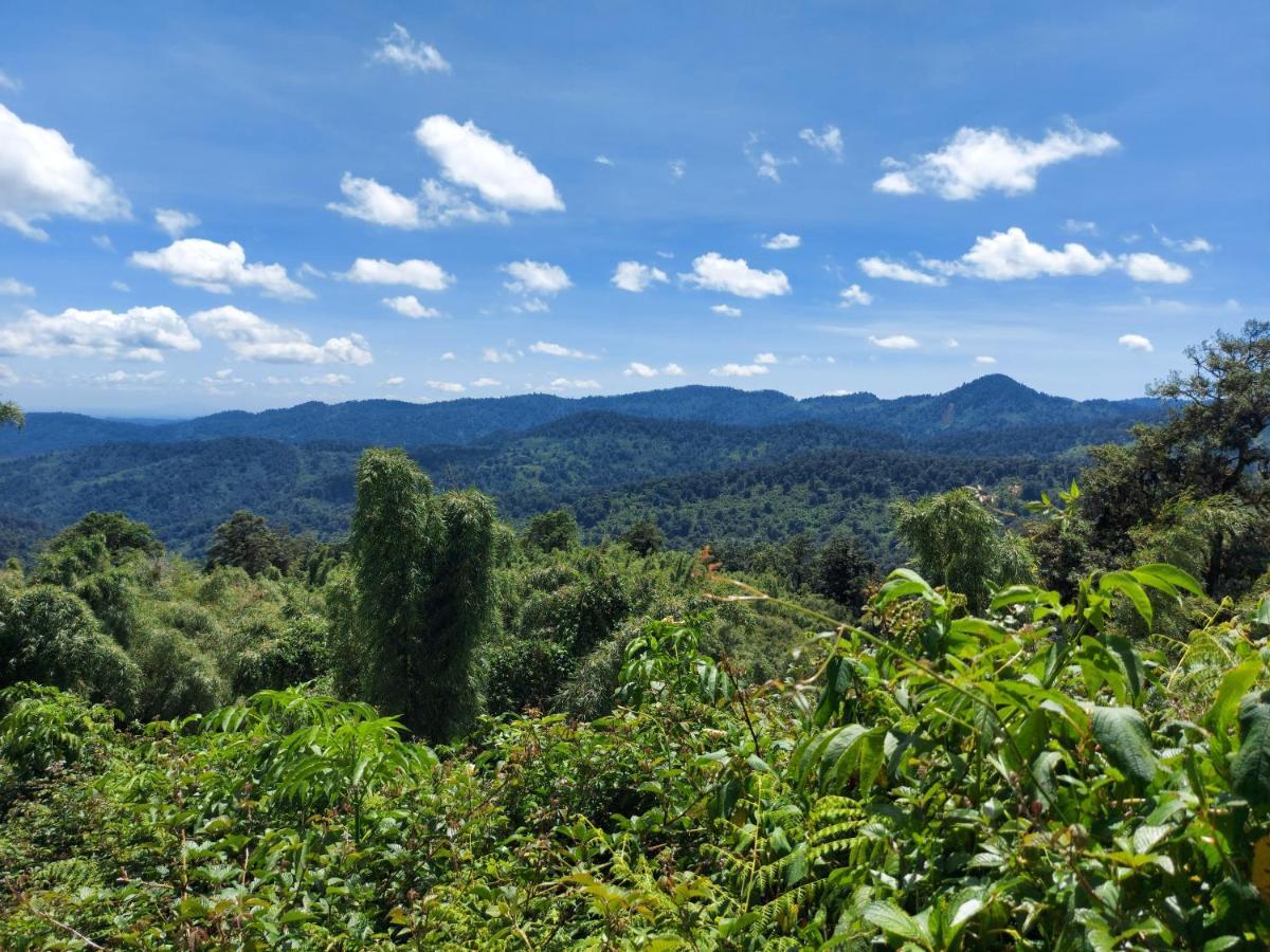 Ranges View Lodge Staycation Kiamuturi Екстериор снимка